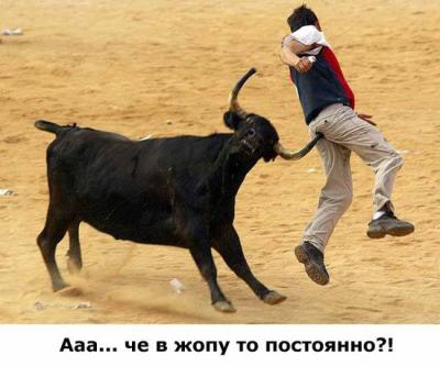 toro
